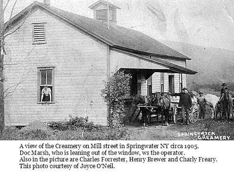 hcl_business_springwater_creamery01_mill_st_1905c_resize480x288