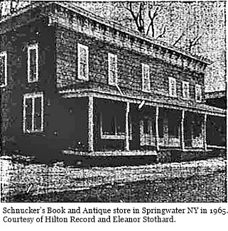 hcl_business_springwater_schnuckers_book_and_antique_store_article01_pic01_resize320x286