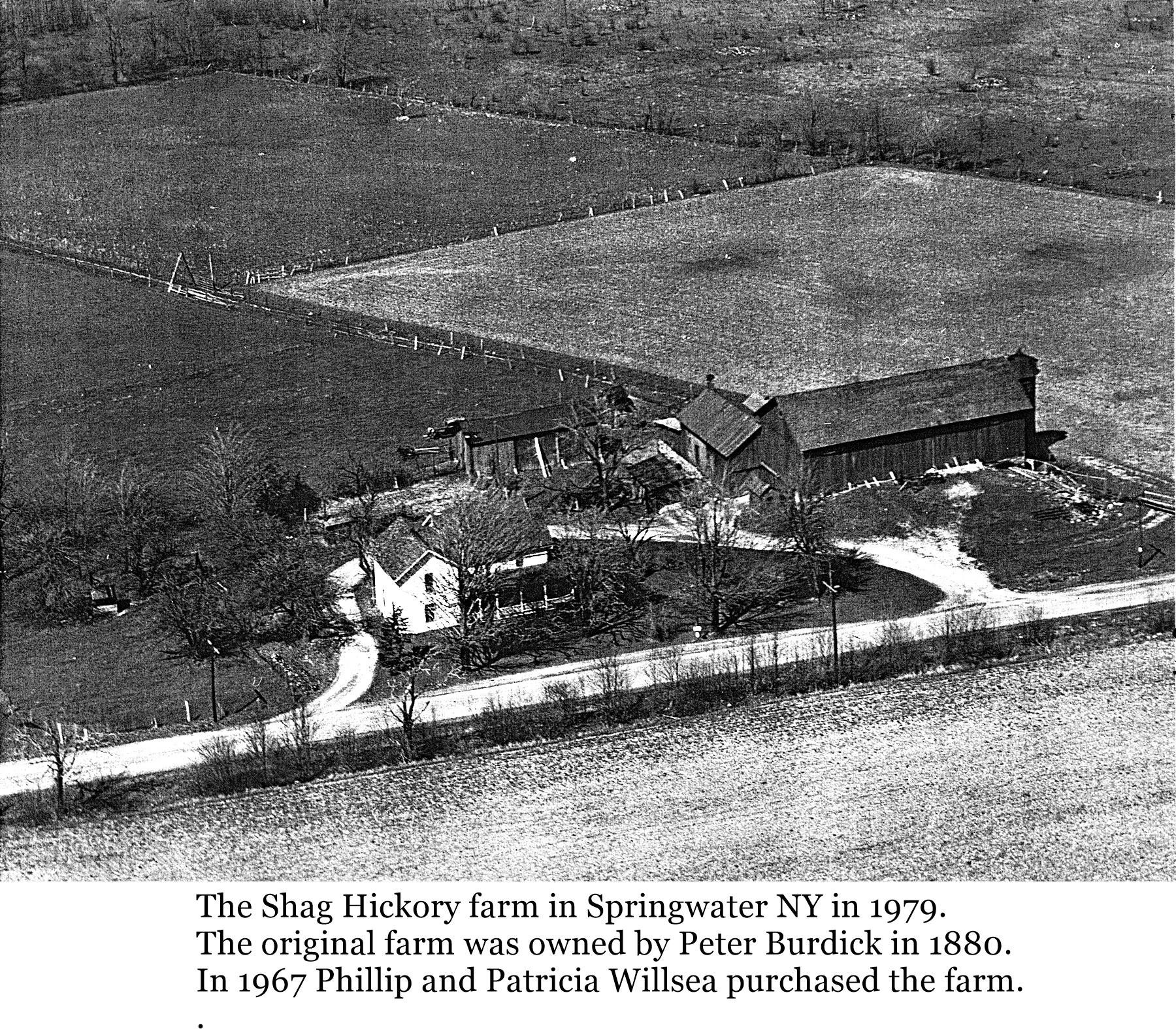 Shag Hickory Farm Hemlock and Canadice Lakes