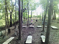hcl_cemetery_canadice_bald_hill_resize240