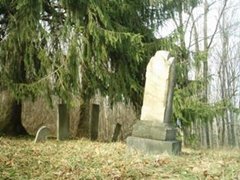 hcl_cemetery_canadice_hollow_resize240