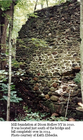 hcl_pic13_community_dixon_hollow_adams_mill_remains_c2010_resize320x466