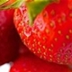 hcl_event_canadice_strawberry_fest_80x80