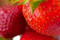 hcl_farm_and_garden_fruit_strawberry_the_quality_of_a_strawberry_120x80