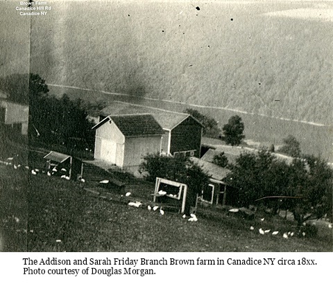 hcl_homestead_canadice_brown_addison_c18xx_pic01_resize480x364