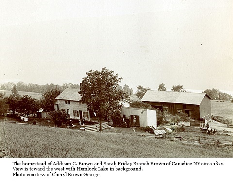 hcl_homestead_canadice_brown_addison_c18xx_pic02_resize480x325