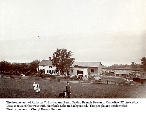 hcl_homestead_canadice_brown_addison_c18xx_pic03_resize480x323