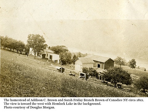 hcl_homestead_canadice_brown_addison_c18xx_pic04_resize480x316