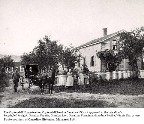 hcl_pic01_homestead_canadice_coykendall_1900_resize480x360