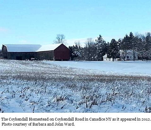hcl_pic03_homestead_canadice_coykendall_2012_resize480x360