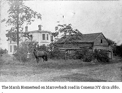 hcl_pic01_homestead_conesus_marsh_1872-1902_resize400x267