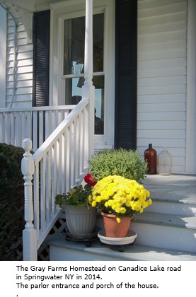 hcl_homestead_springwater_gray_2014_house_porch_south_east_resize277x360
