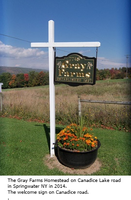 hcl_homestead_springwater_gray_2014_welcome_sign_resize270x360