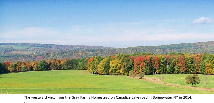 hcl_homestead_springwater_gray_2014_westward_view_resize850x375