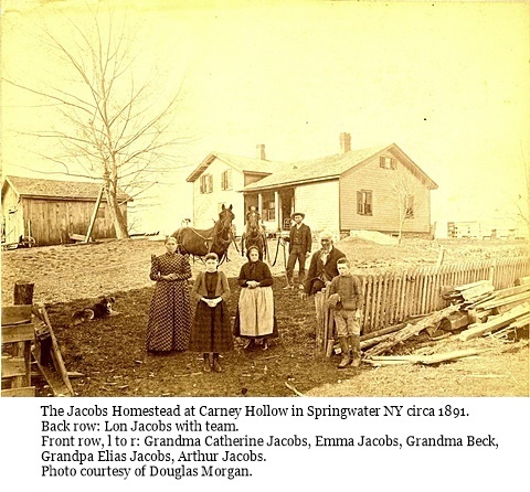 hcl_homestead_springwater_jacobs_elias_at_carney_hollow_1891_resize480x360