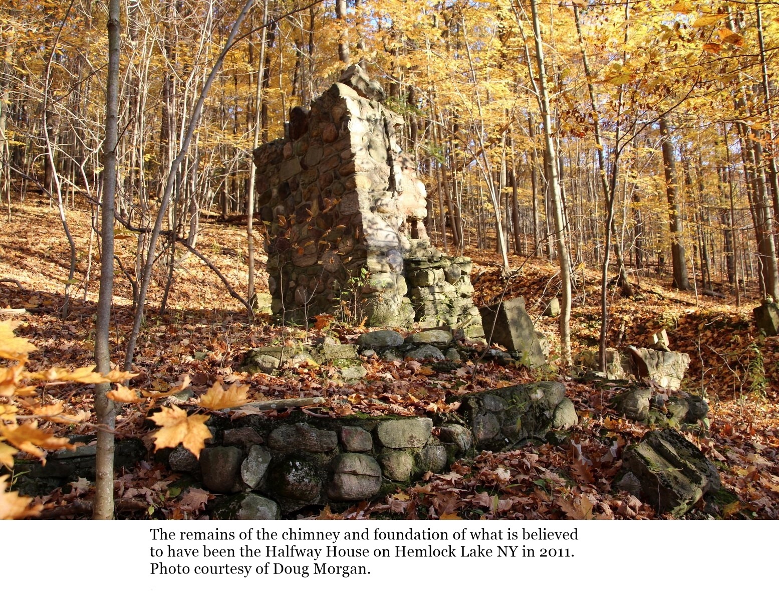 Lake Cottages Hemlock Hemlock and Canadice Lakes
