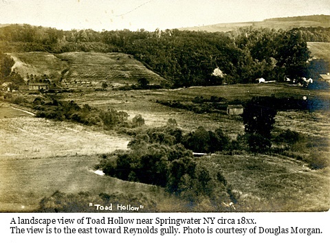 hcl_landscape_springwater_18xxc_toad_hollow_resize480x310