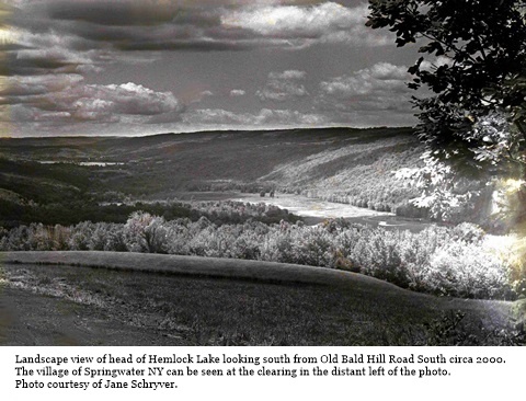 hcl_landscape_springwater_2000_hemlock_lake_inlet_looking_south_resize480x316