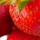 hcl_news_article_canadice_strawberry_fest_80x80
