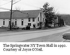 hcl_organization_springwater_town_hall_1992_resize240x144