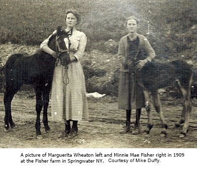 hcl_pic04_people_springwater_wheaton_marguerite_and_fisher_minnie_at_fisher_farm_1909_resize400x300