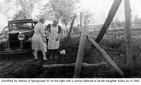 hcl_people_perkins_family_photo_gallery_event_1942_pic03_resize480x269