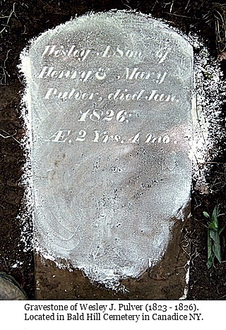 hcl_people_pulver_wesley_j_gravestone_bald_hill_cemetery_resize320x426