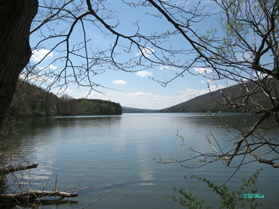 hcl_pic02_photo_finch_terry_canadice_lake_in_spring_2012_resize400