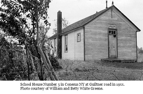 hcl_school_conesus_house_num05_19xx_guiltner_road_pic01_resize480x270