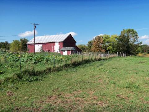 hcl_pic02_barn_hemlock_harder_varrone_2011_resize480