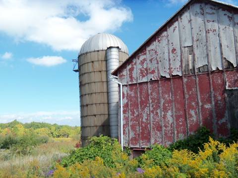 hcl_pic04_barn_hemlock_harder_varrone_2011_resize480