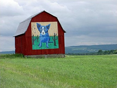 hcl_pic01_barn_springwater_becker_blue_dog_2000_resize480