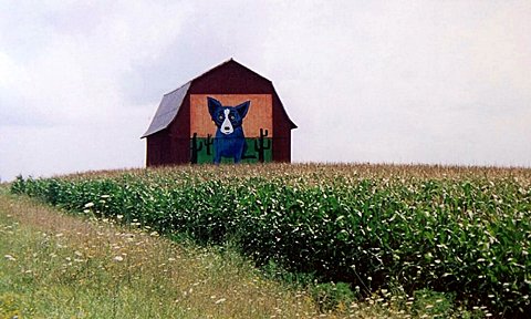 hcl_pic02_barn_springwater_becker_blue_dog_2000_resize480