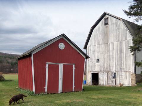 hcl_pic03_barn_springwater_withington_todisco_2011_resize480