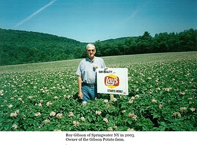 hcl_business_springwater_gibson_potato_farm_pic01_2003_resize400x266