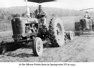 hcl_business_springwater_gibson_potato_farm_pic02_1952_resize400x266