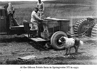 hcl_business_springwater_gibson_potato_farm_pic04_1952_resize400x266