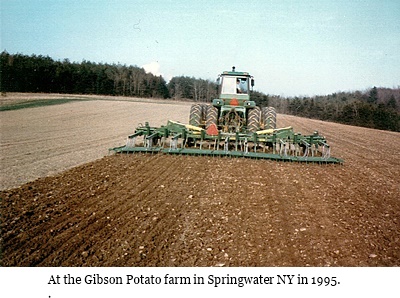 hcl_business_springwater_gibson_potato_farm_pic07_1995_resize400x266