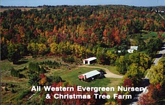 hcl_business_springwater_humphrey_tree_farm01_resize324x207