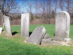 hcl_cemetery_hemlock_harder_resize240