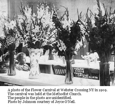 hcl_community_websters_crossing15b_flower_carnival02_1909_resize400x300