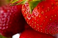 hcl_fair_canadice_strawberry_festival_120x80