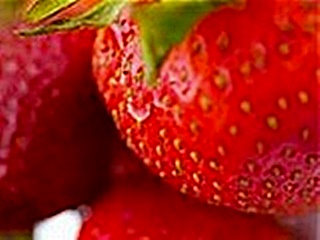hcl_feature_event_of_the_month_1954_canadice_strawberry_festival_320x240
