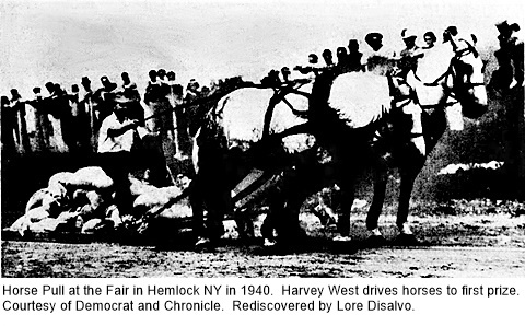 hcl_fair_hemlock_1940_horse_pull_resize480x254