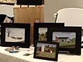 hcl_fair_springwater_bicentennial_arts_and_craft_show_120x90