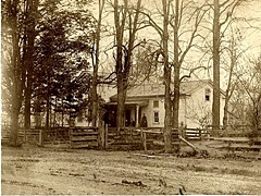 hcl_homestead_hemlock_adams_w_1890c_240x180