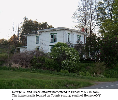 hcl_homestead_canadice_affolter_county_road_37_2016_pic01_resize480x360