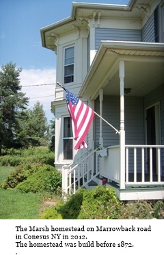 hcl_pic04_homestead_conesus_marsh_fetzner_2012_resize240x320