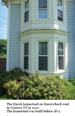 hcl_pic05_homestead_conesus_marsh_fetzner_detail_2012_resize240x320