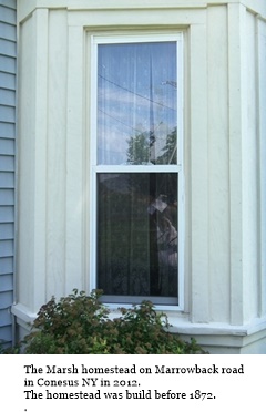 hcl_pic06_homestead_conesus_marsh_fetzner_detail_2012_resize240x320